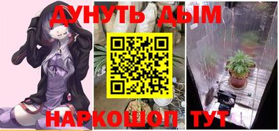 наркотики Кингисепп