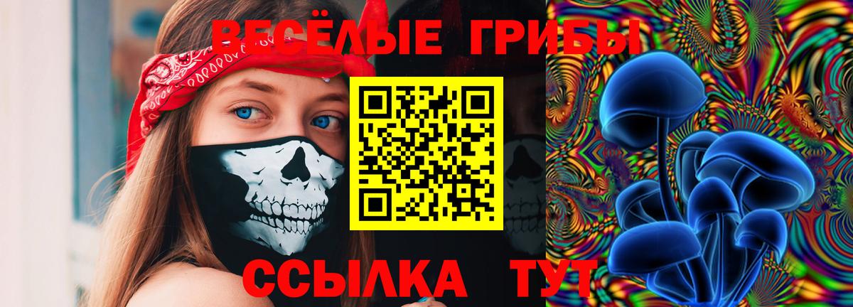 Клинцы  Галлюциногенные грибы Cubensis  Вход с VPN 
