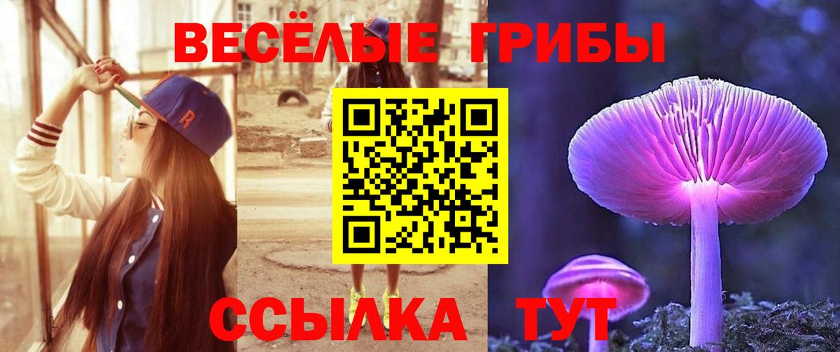 Псилоцибиновые грибы Cubensis Клинцы